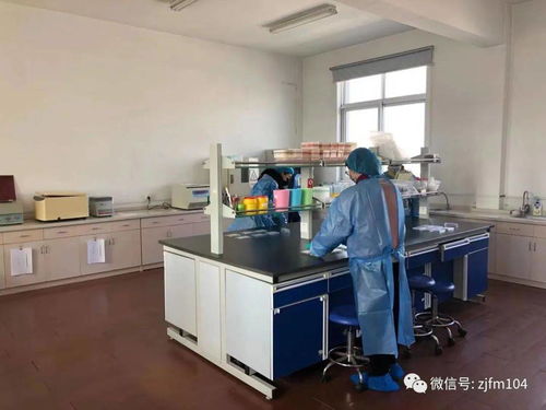 春節(jié)臨近我市加強(qiáng)動(dòng)物疫病監(jiān)測(cè)