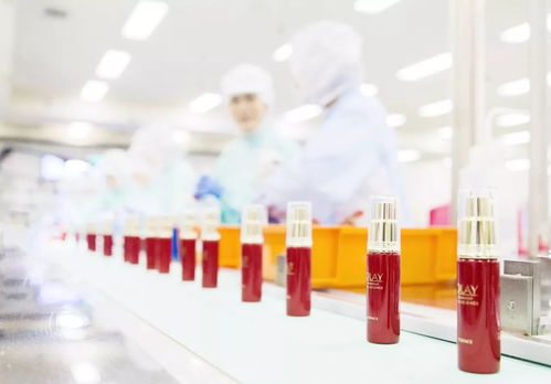 你的容貌,正是你賦予生活的樣子