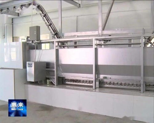 縣食品倉(cāng)儲(chǔ)中心和機(jī)械化肉聯(lián)廠建成并試運(yùn)營(yíng)