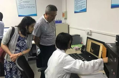 關注老字號企業創新發展 助力打響上海購物品牌