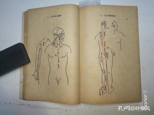 中醫(yī)基本知識(shí) 中醫(yī)輪訓(xùn)班教材之一