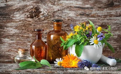 植物神經(jīng)紊亂瘀血阻絡(luò)的中醫(yī)辯證