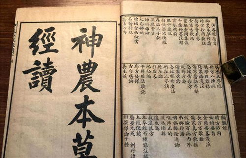 中醫(yī)不滅,天理難容 大學(xué)教授發(fā)起萬人簽名,強(qiáng)烈要求取締中醫(yī)