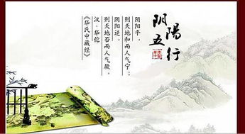 一眼就能看懂的中醫(yī)培訓(xùn) 最簡單中醫(yī)入門學(xué)習心