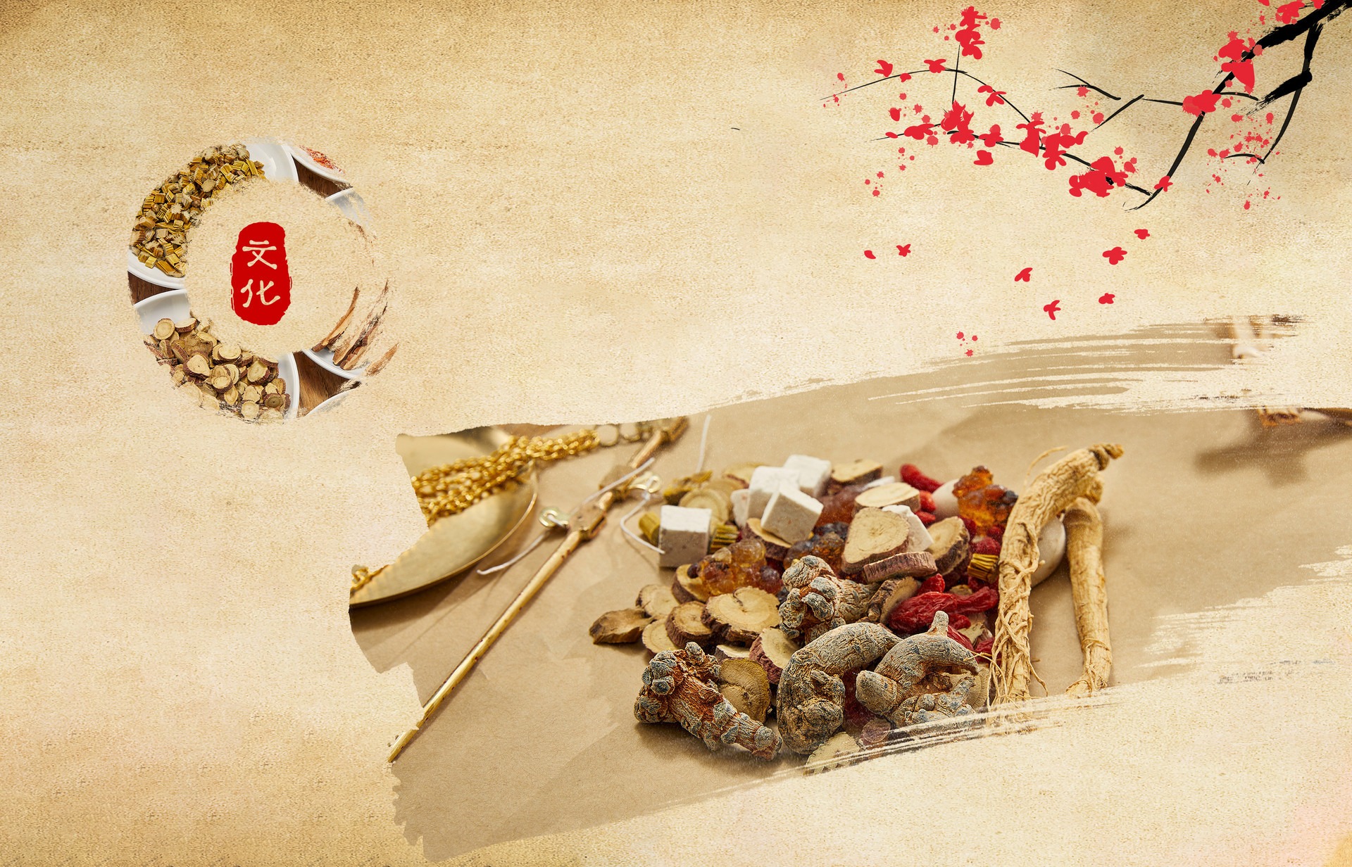 大力實施"四大工程" 嶗山健全中醫(yī)藥發(fā)展體制機制 鳳凰網(wǎng)青島_鳳凰網(wǎng)