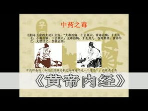 泰安諸中醫養生食品美女養眼養顏必備