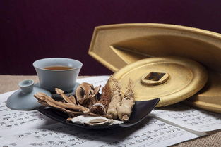 泥灸加工OEM廠家如何在中醫養生領域發揮引領作用